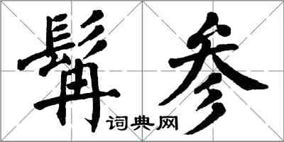 翁闿运髯参楷书怎么写