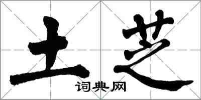 翁闿运土芝楷书怎么写