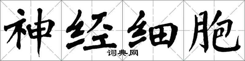 翁闿运神经细胞楷书怎么写