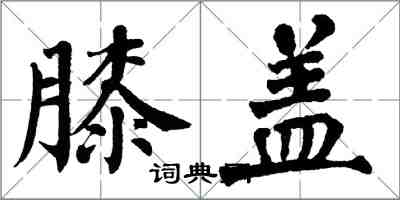 翁闿运膝盖楷书怎么写