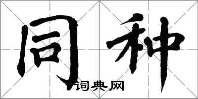 翁闿运同种楷书怎么写