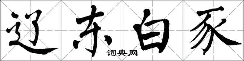 翁闿运辽东白豕楷书怎么写