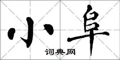 翁闿运小阜楷书怎么写