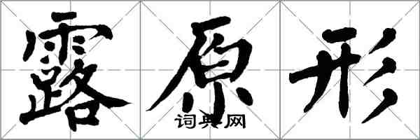 翁闿运露原形楷书怎么写