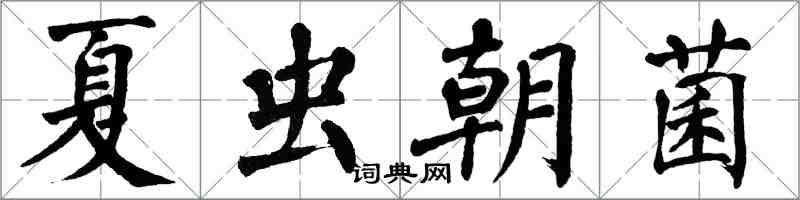 翁闿运夏虫朝菌楷书怎么写