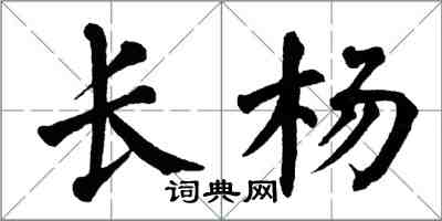 翁闿运长杨楷书怎么写