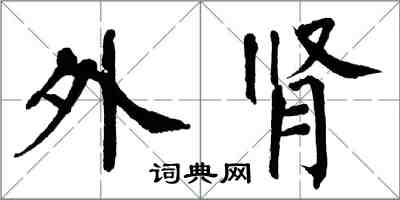 翁闿运外肾楷书怎么写