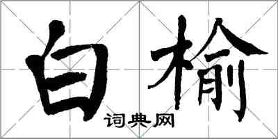 翁闿运白榆楷书怎么写