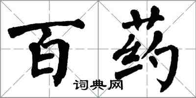 翁闿运百药楷书怎么写