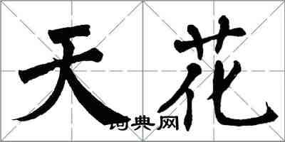 翁闿运天花楷书怎么写