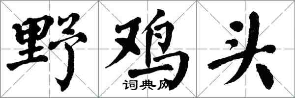 翁闿运野鸡头楷书怎么写