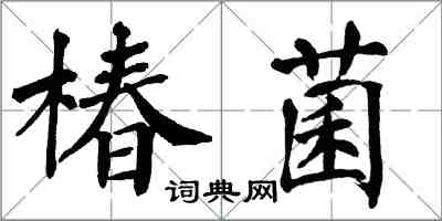 翁闿运椿菌楷书怎么写