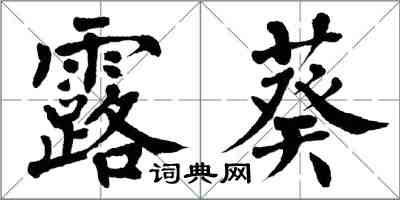 翁闿运露葵楷书怎么写