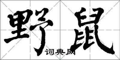 翁闿运野鼠楷书怎么写