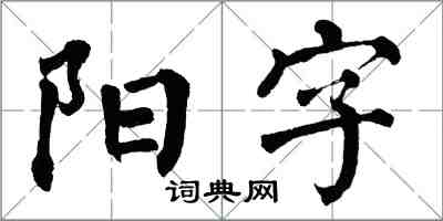 翁闿运阳字楷书怎么写