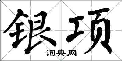 翁闿运银项楷书怎么写