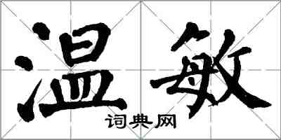 翁闿运温敏楷书怎么写