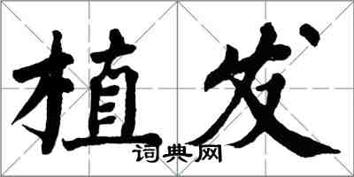 翁闿运植发楷书怎么写