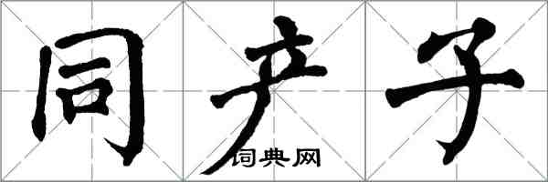 翁闿运同产子楷书怎么写