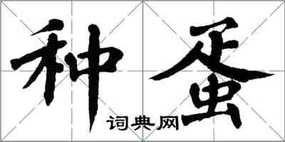 翁闿运种蛋楷书怎么写