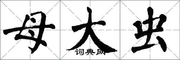 翁闿运母大虫楷书怎么写