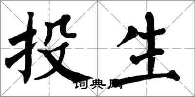 翁闿运投生楷书怎么写