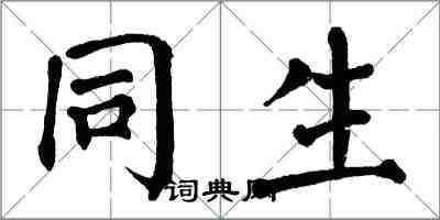 翁闿运同生楷书怎么写