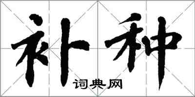 翁闿运补种楷书怎么写