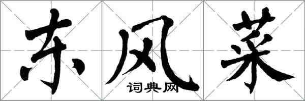 翁闿运东风菜楷书怎么写