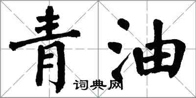 翁闿运青油楷书怎么写