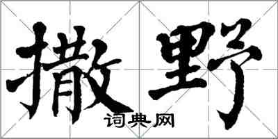 翁闿运撒野楷书怎么写