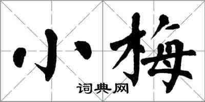 翁闿运小梅楷书怎么写