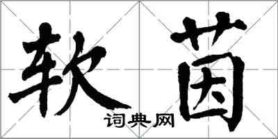 翁闿运软茵楷书怎么写