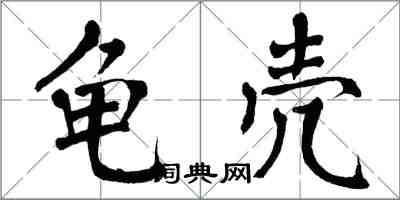 翁闿运龟壳楷书怎么写