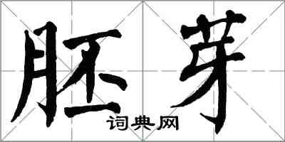 翁闿运胚芽楷书怎么写