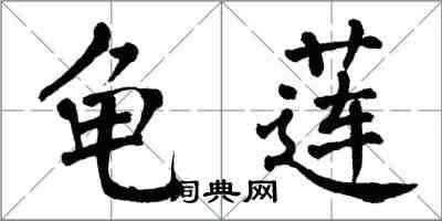 翁闿运龟莲楷书怎么写