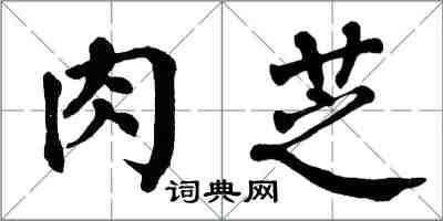 翁闿运肉芝楷书怎么写