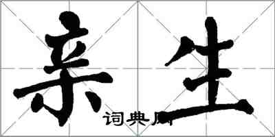 翁闿运亲生楷书怎么写