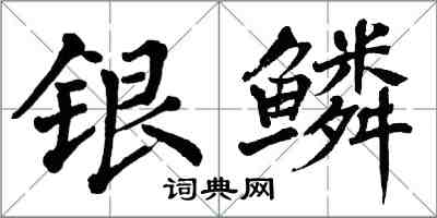 翁闿运银鳞楷书怎么写