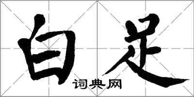 翁闿运白足楷书怎么写