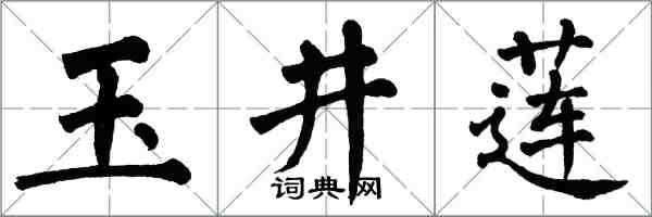 翁闿运玉井莲楷书怎么写