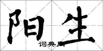 翁闿运阳生楷书怎么写