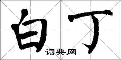 翁闿运白丁楷书怎么写