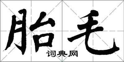 翁闿运胎毛楷书怎么写