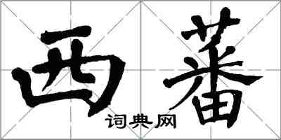 翁闿运西蕃楷书怎么写