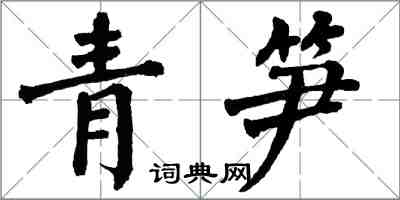 翁闿运青笋楷书怎么写