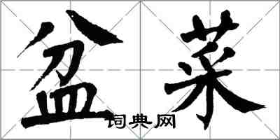 翁闿运盆菜楷书怎么写