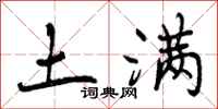 土满怎么写好看，土满书法图片