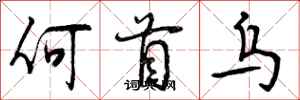 何首乌怎么写好看,何首乌书法图片