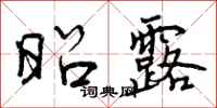 昭露怎么写好看,昭露书法图片